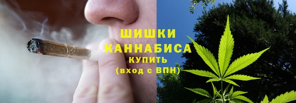 ГАЛЛЮЦИНОГЕННЫЕ ГРИБЫ Алексин