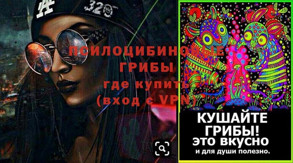 ГАЛЛЮЦИНОГЕННЫЕ ГРИБЫ Алексин