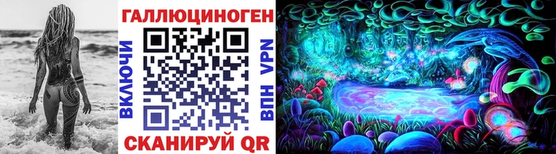 KRAKEN ТОР  хочу   Балашов  Псилоцибиновые грибы прущие грибы 