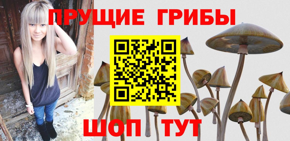 Галлюциногенные грибы мухоморы Балашов